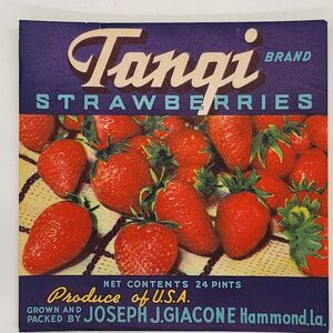 Vintage Tangi Brand Strawberry Label, 6x6 Inches Original Crate Label Hammond LA